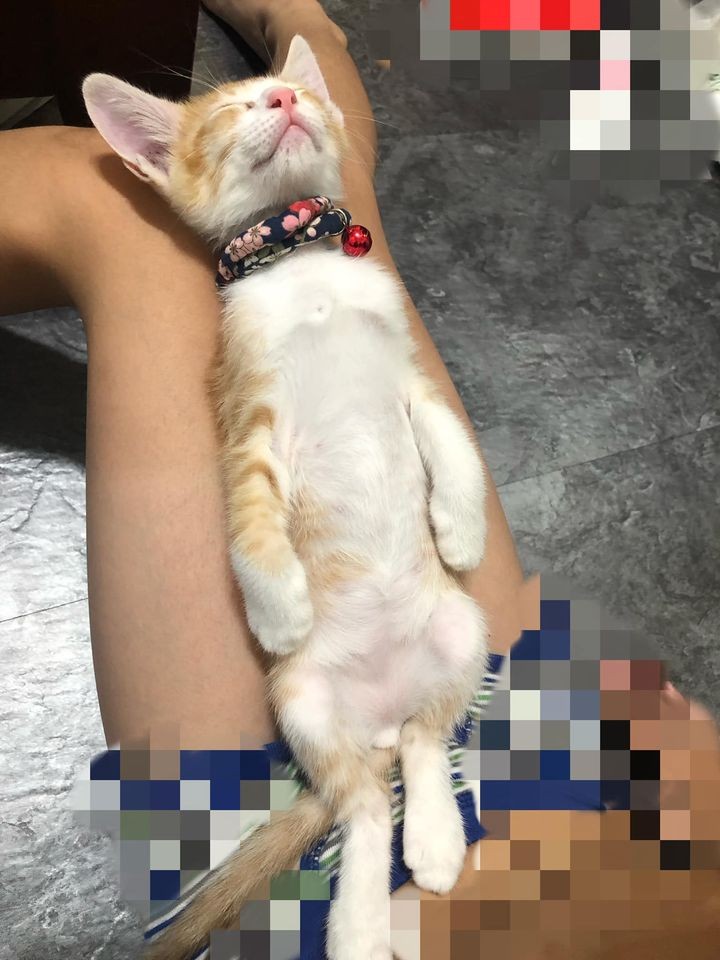 網友Amber Hu提供