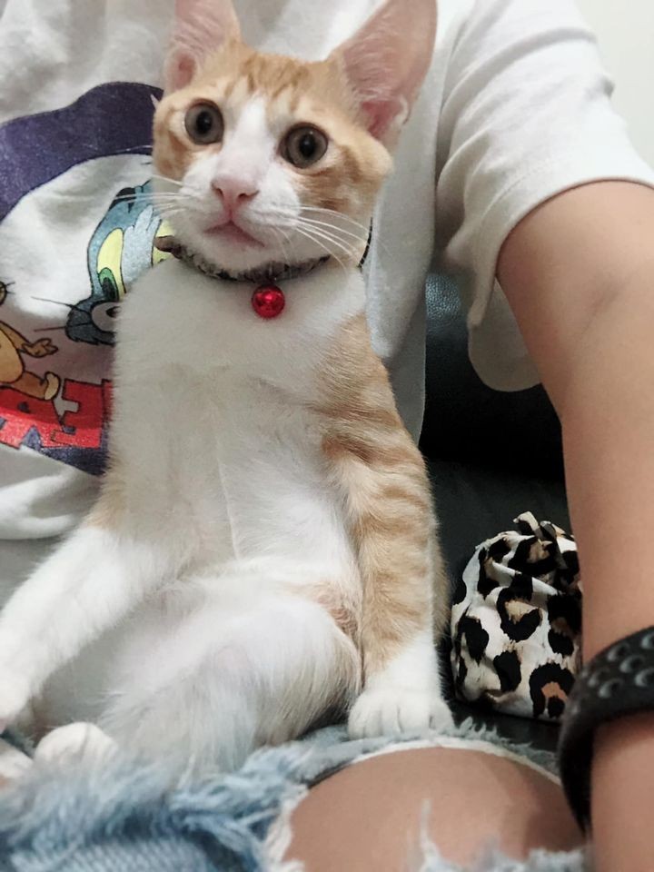 網友Amber Hu提供