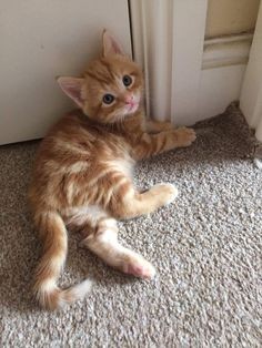 Pinterest