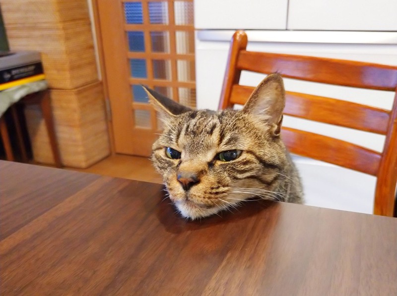 twitter／tsudajunko 