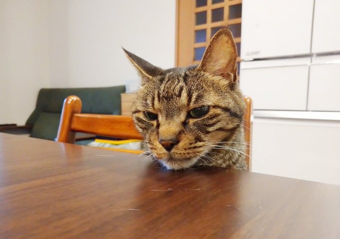 twitter／tsudajunko 