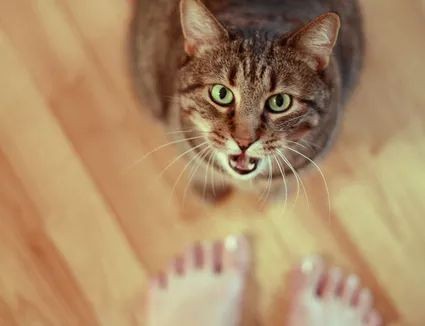 Pinterest