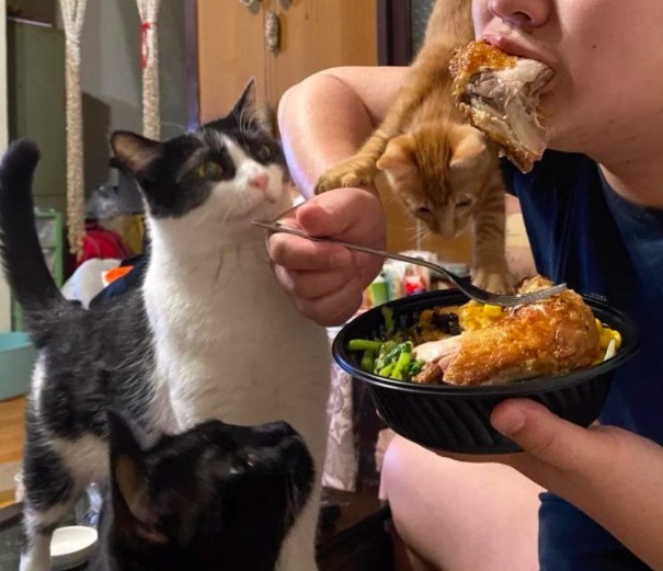 網友WAYNE LIU提供