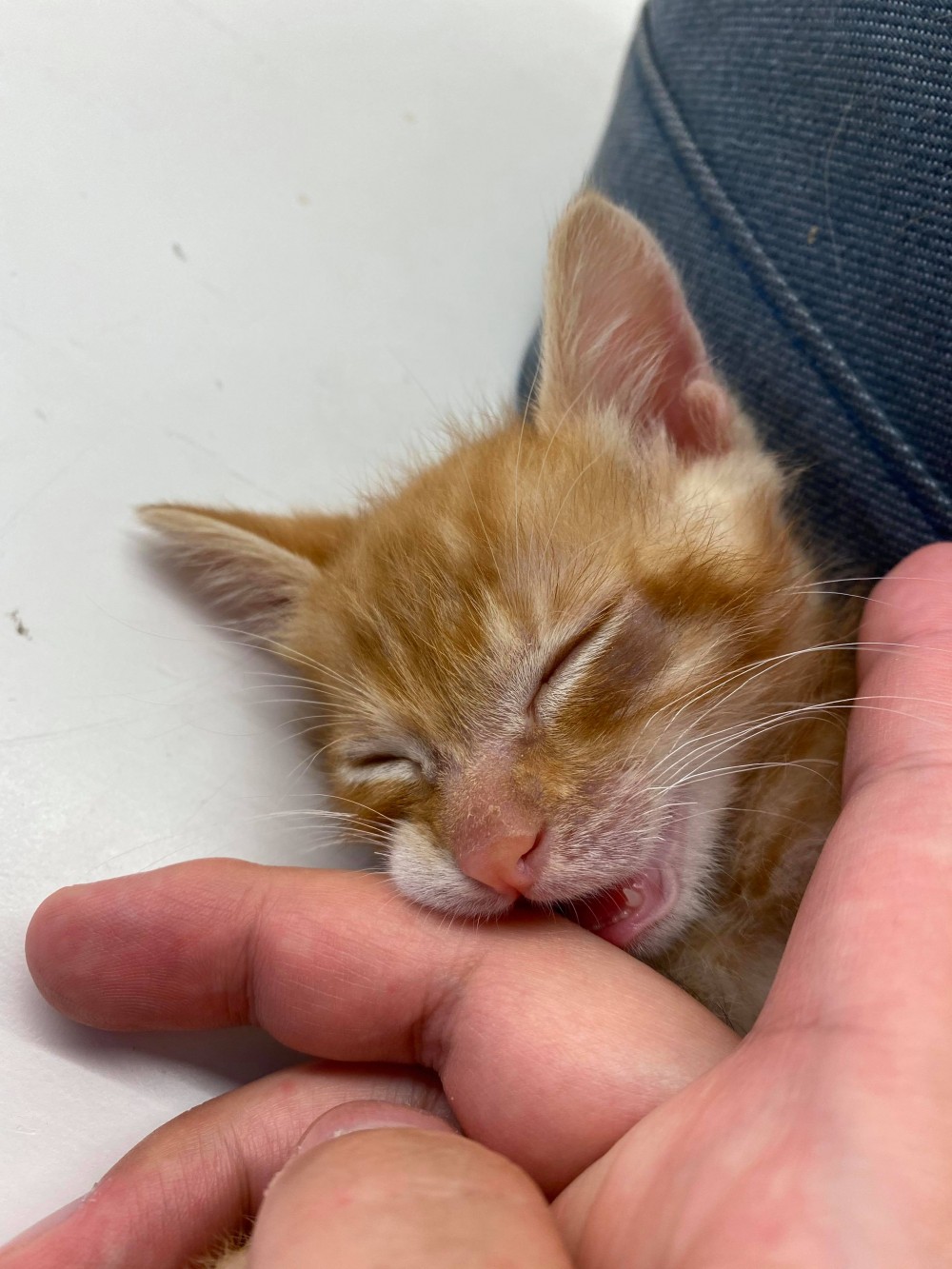 網友WAYNE LIU提供