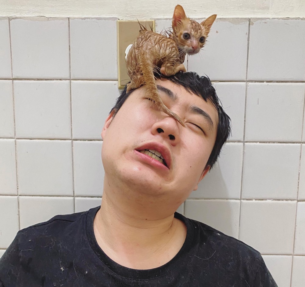 網友WAYNE LIU提供