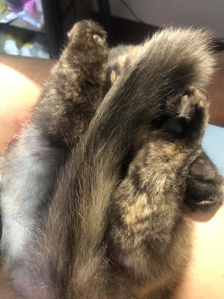 網友吳建銘授權提供