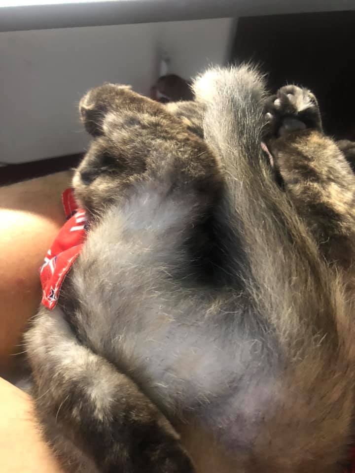 網友吳建銘授權提供