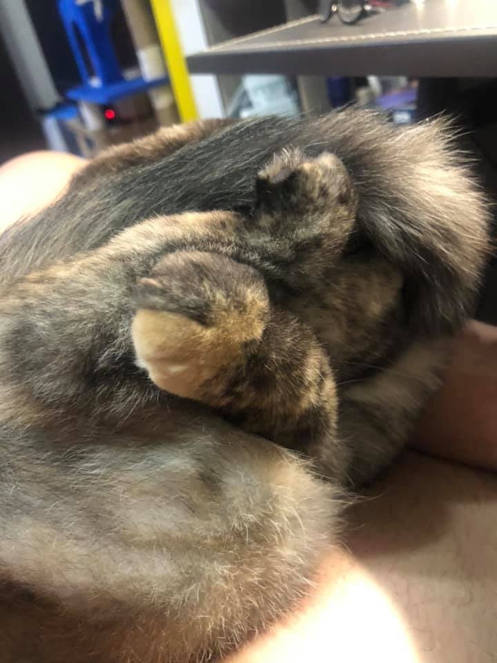 網友吳建銘授權提供