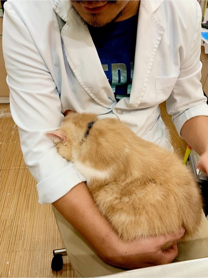 網友Peggy Hsu提供