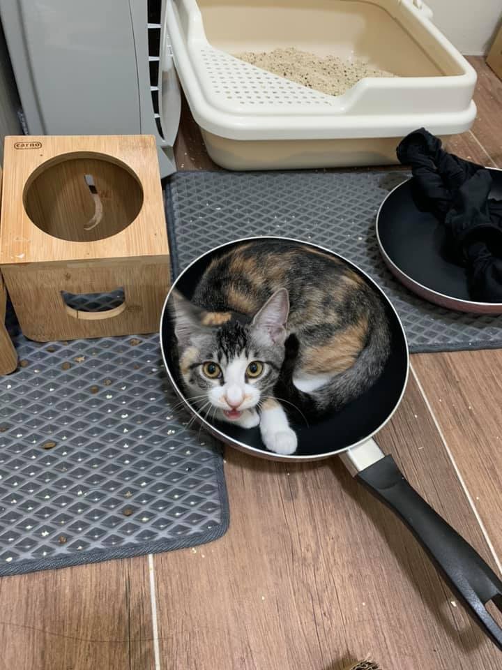 網友畢欣蓉提供