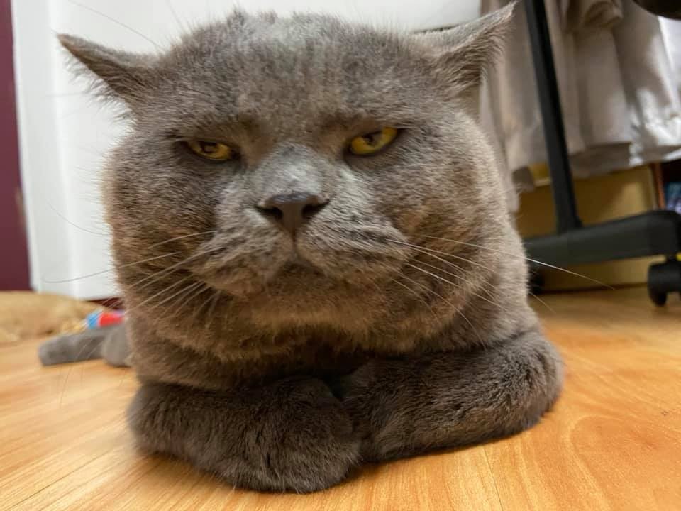 網友Yu DaDa提供授權