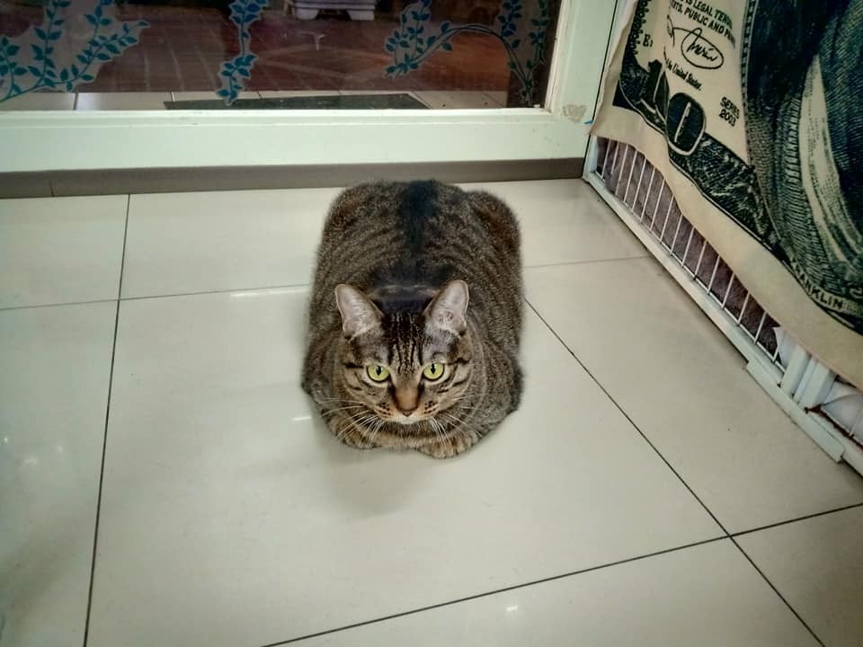 網友藍思嘉提供