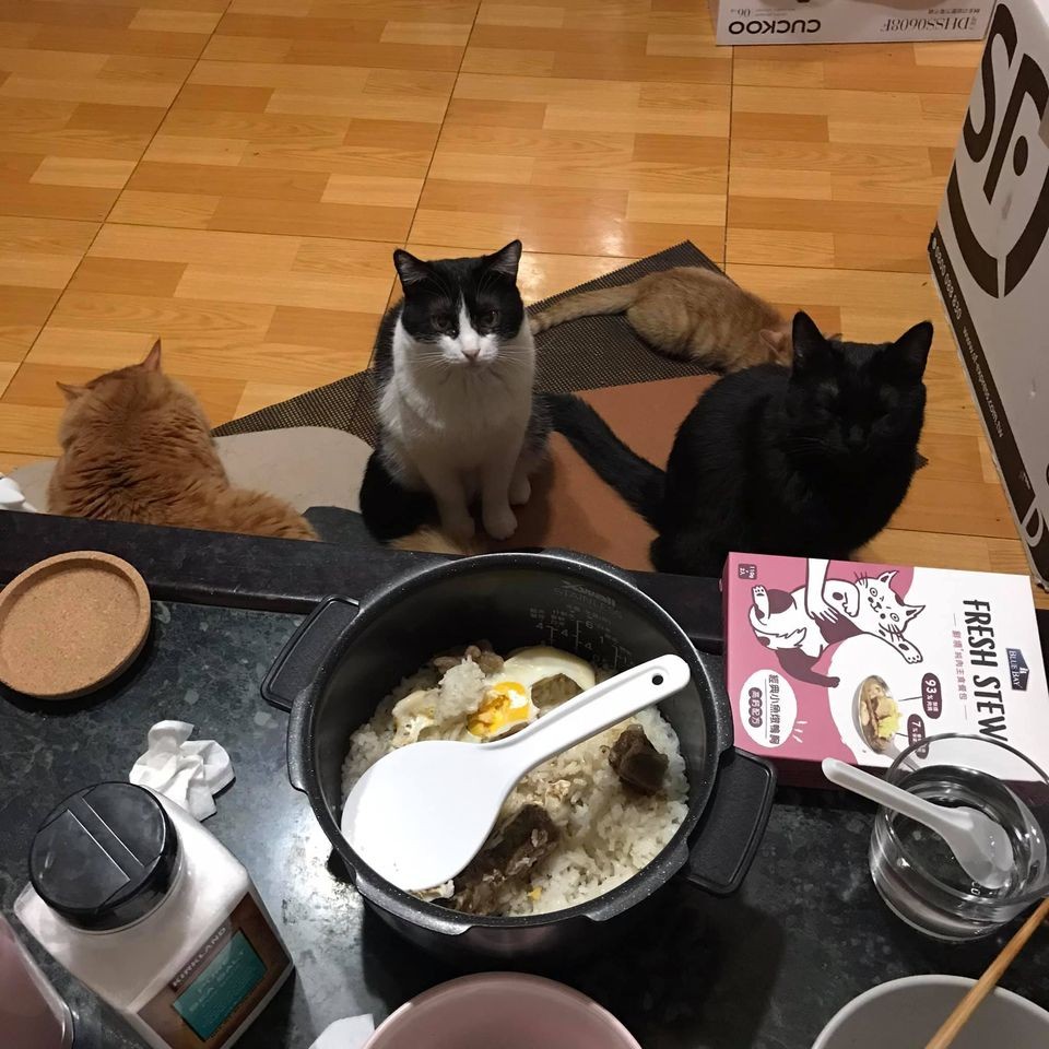 網友WAYNE LIU提供