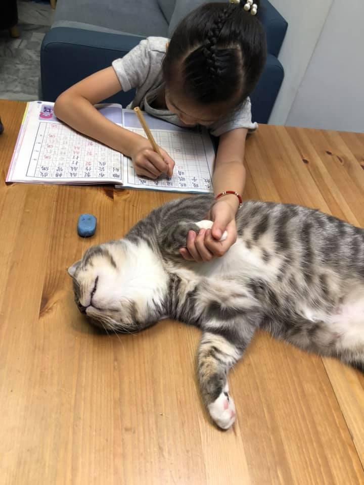 FB 哈尼vs瑪妮