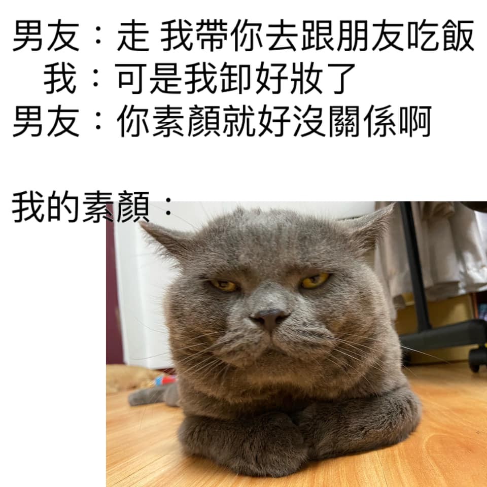 網友Yu DaDa提供授權