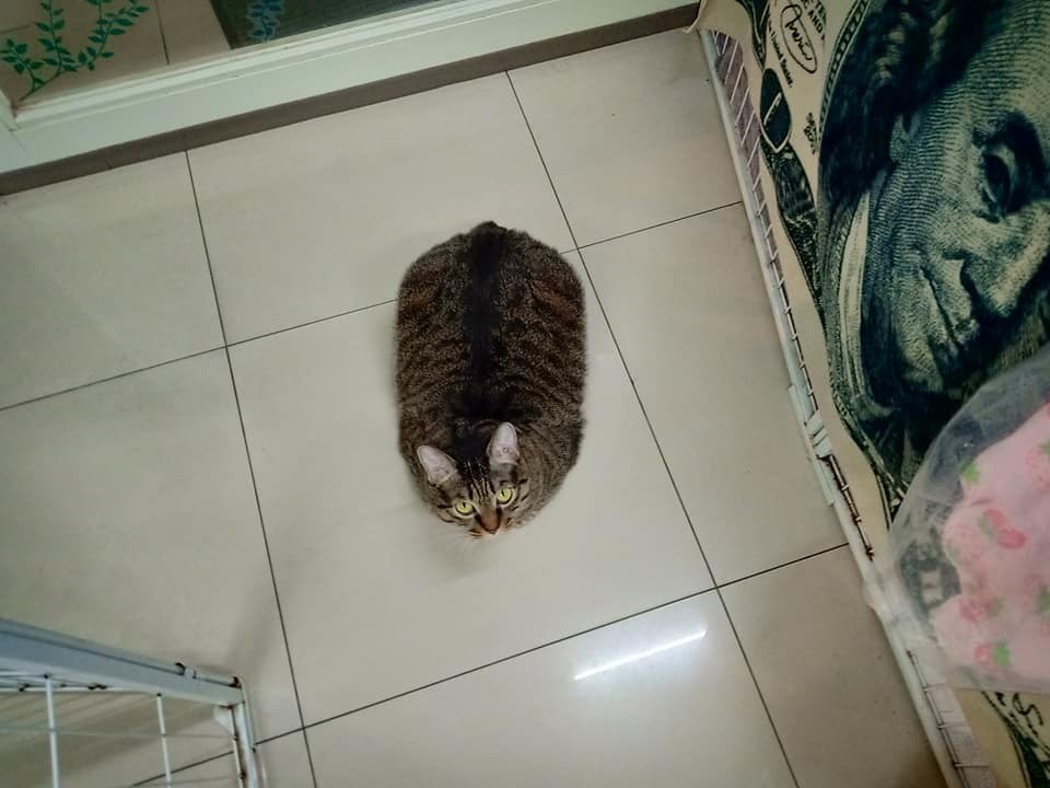 網友藍思嘉提供