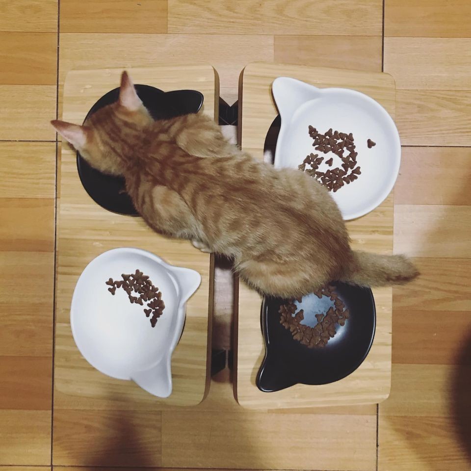 網友WAYNE LIU提供