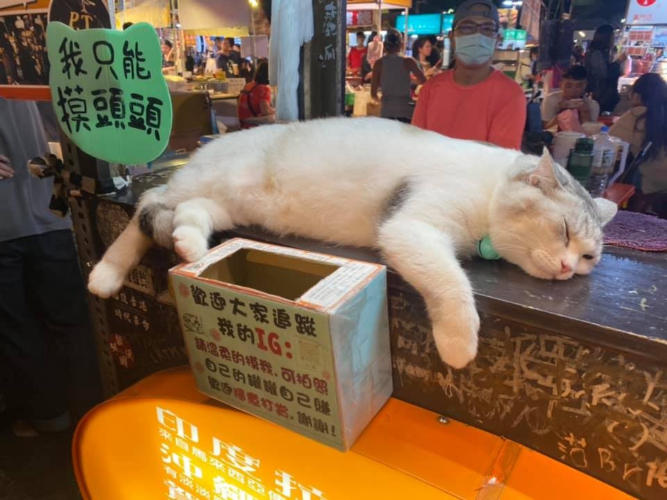 網友Ting Yu Chen提供