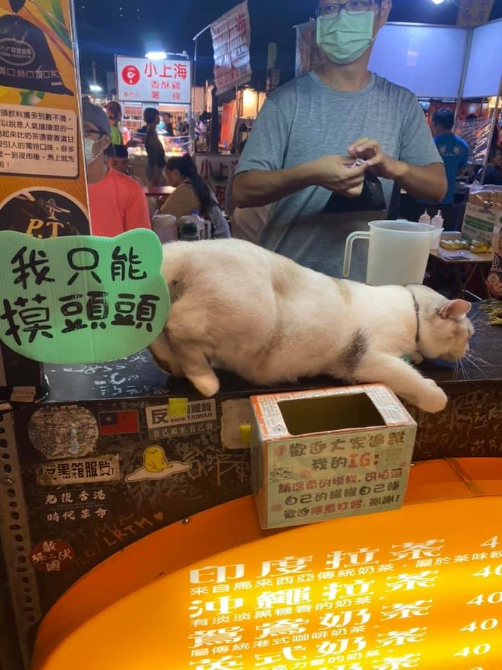 網友Ting Yu Chen提供