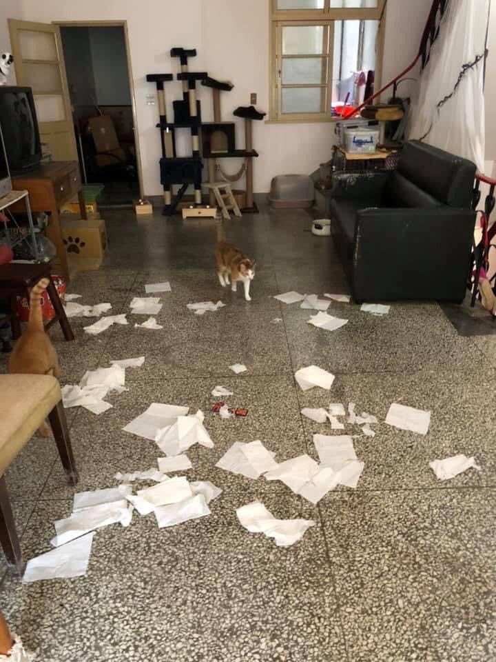 網友葉小婷提供