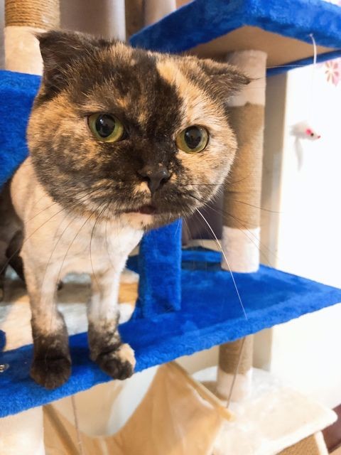 網友吳建銘授權提供