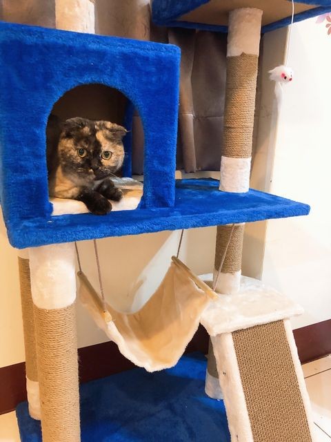 網友吳建銘授權提供