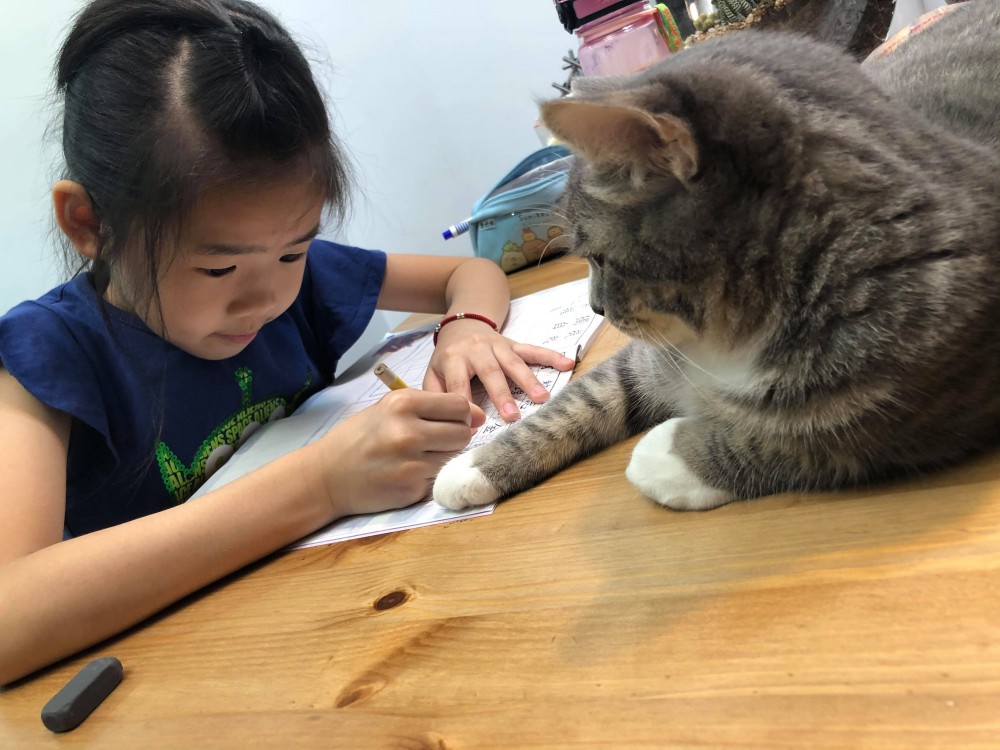 FB 哈尼vs瑪妮