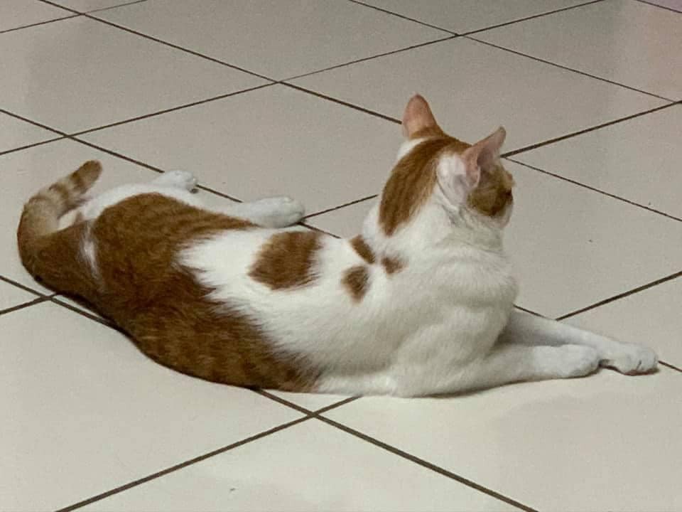 網友簡浩子授權提供