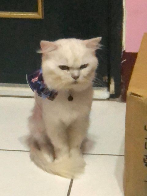 網友吳建銘授權提供