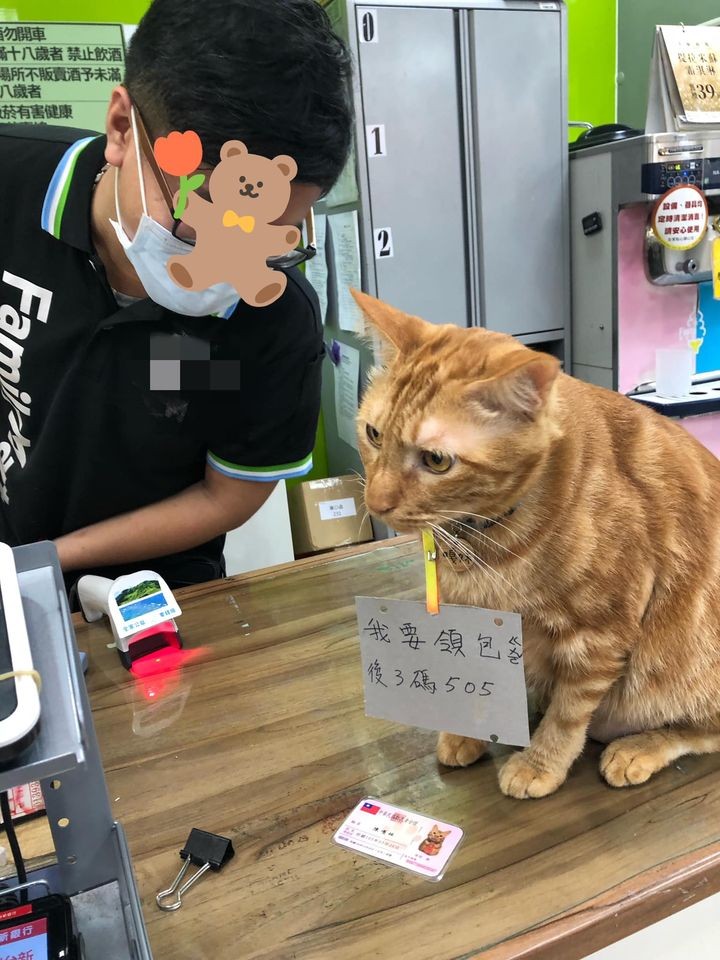 網友陳欣伶提供