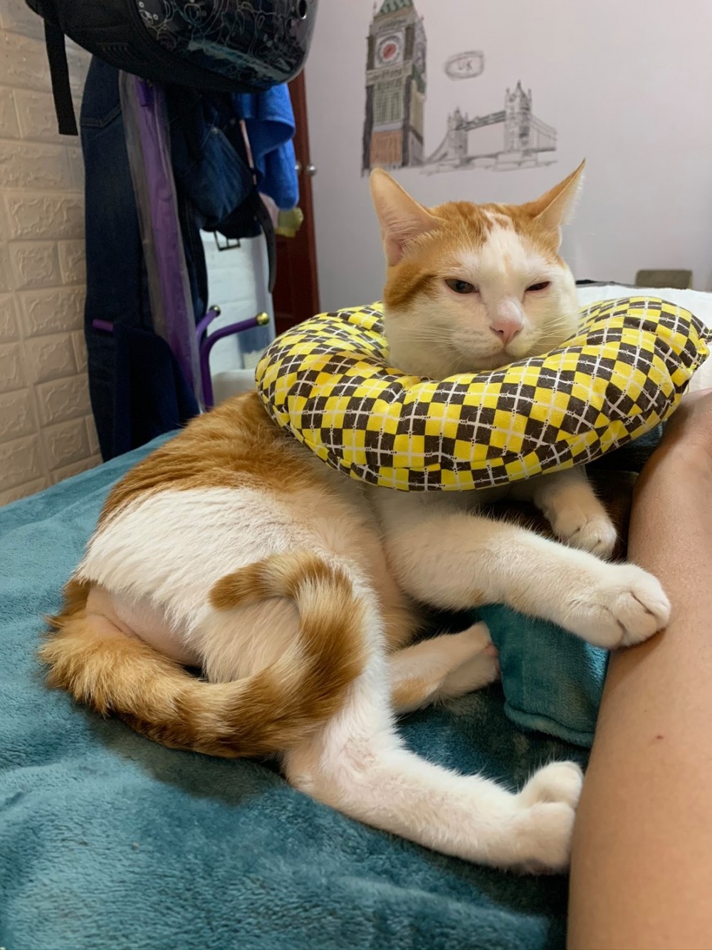 網友簡浩子授權提供