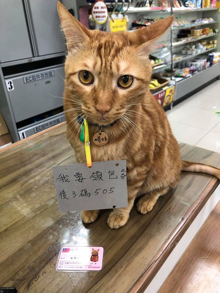 網友陳欣伶提供