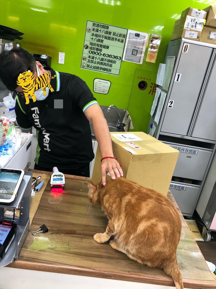 網友陳欣伶提供