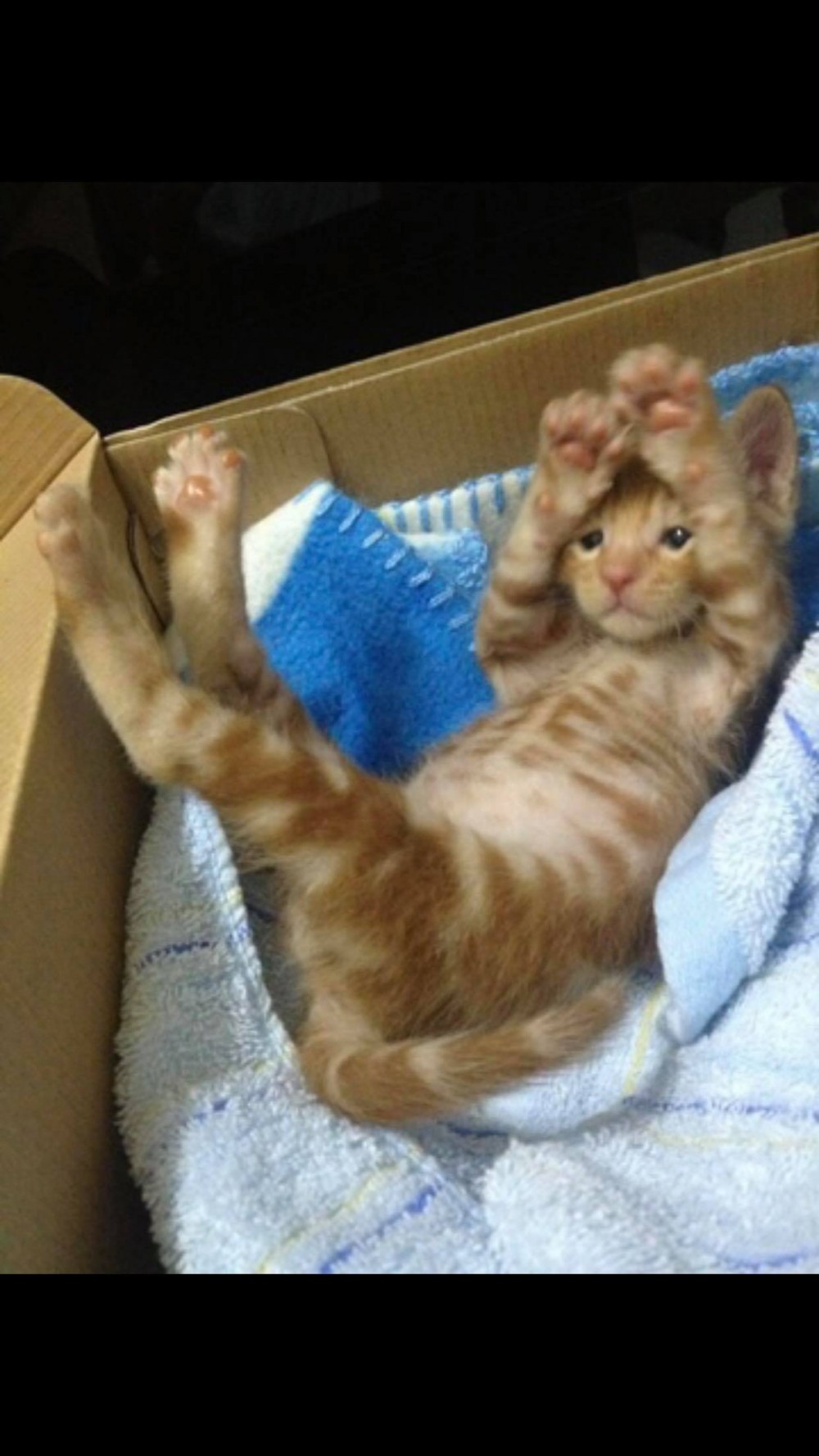 網友陳欣伶提供