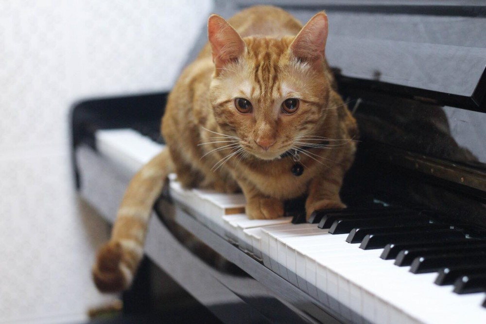 網友陳欣伶提供