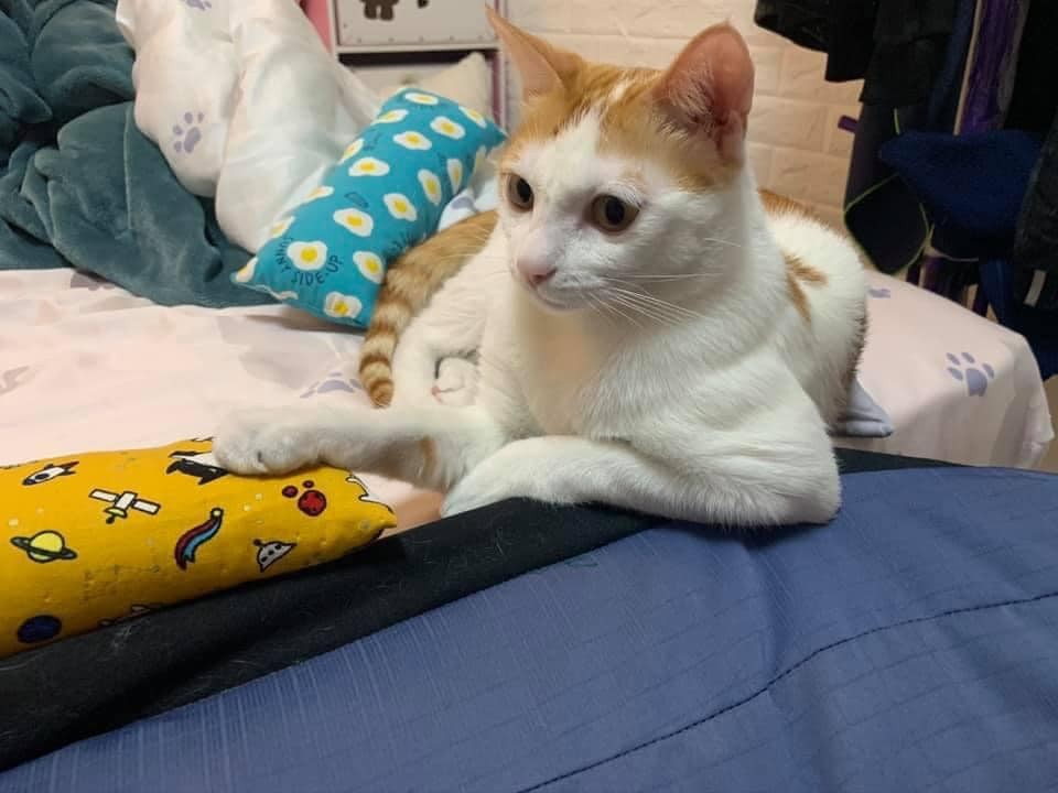 網友簡浩子授權提供