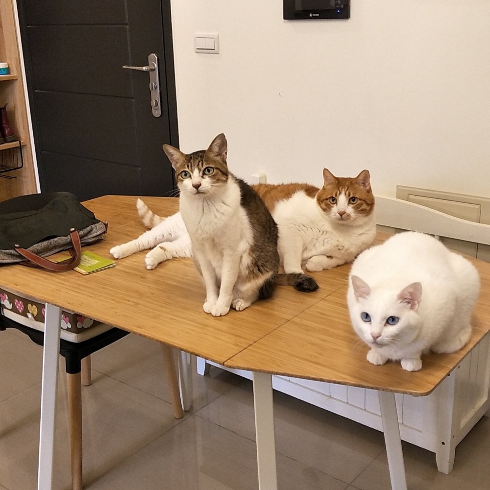 網友jovi wu授權提供