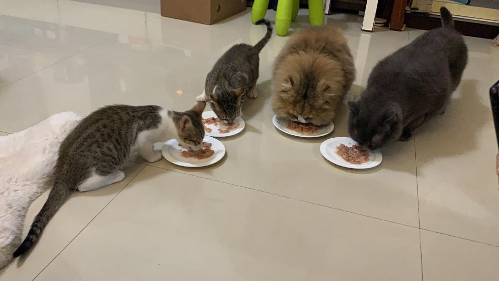 網友Tiffany Esme Hsu授權提供