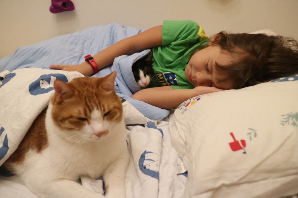 網友jovi wu授權提供