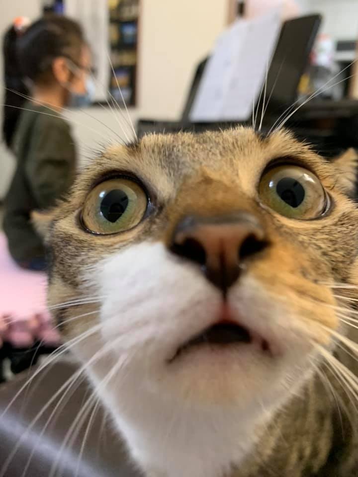 網友Tiffany Esme Hsu授權提供