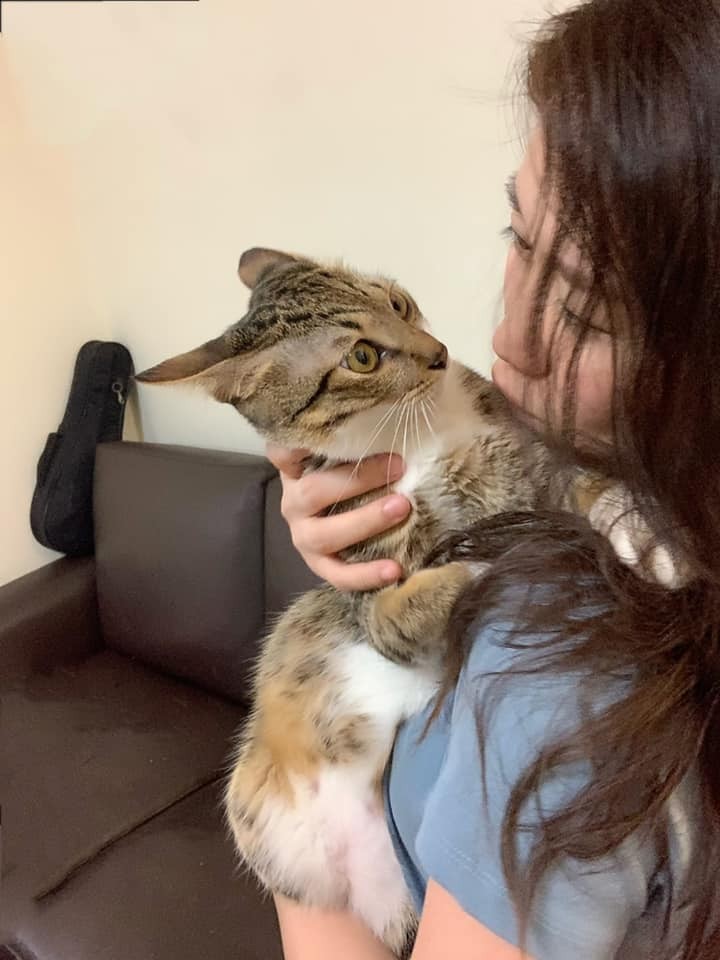 網友Tiffany Esme Hsu授權提供