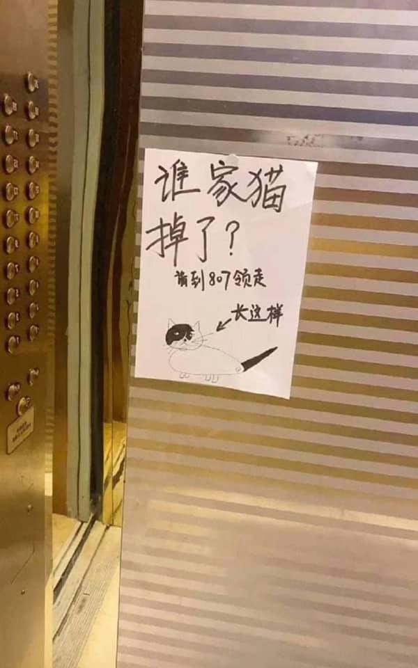 122790848_10215942965400499_5295429412826041160_n