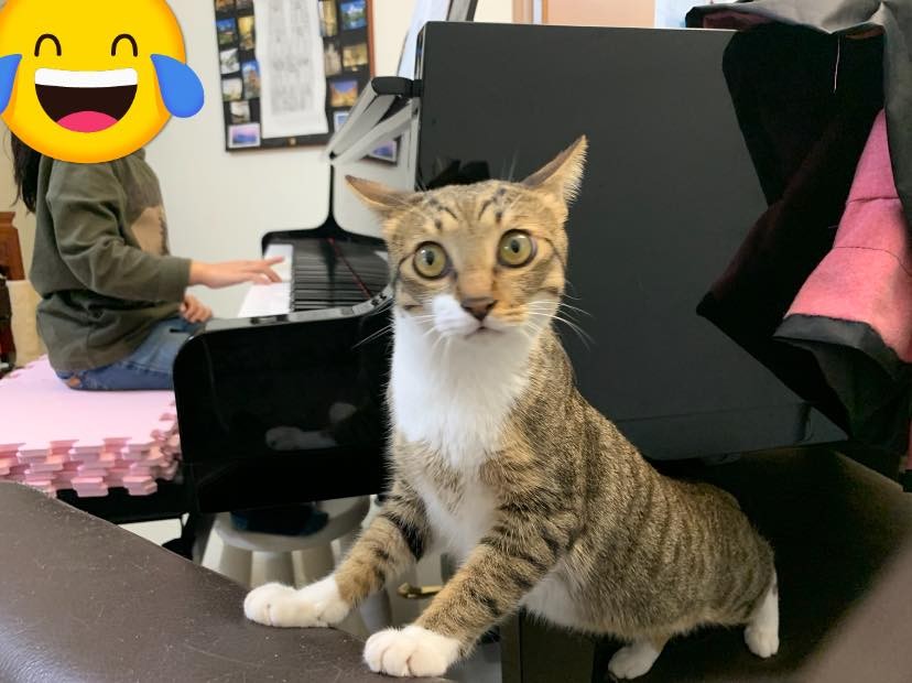 網友Tiffany Esme Hsu授權提供