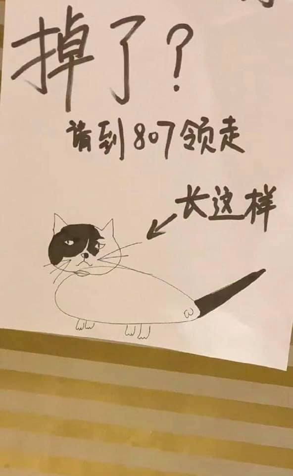 122966372_10215942966080516_2161327294527044458_n