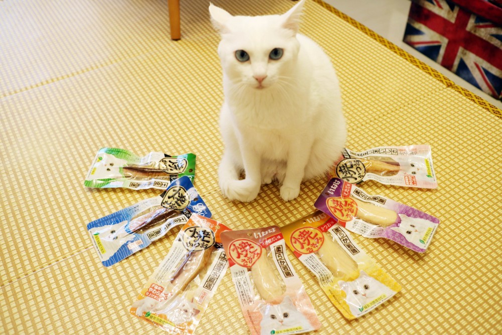 網友jovi wu授權提供