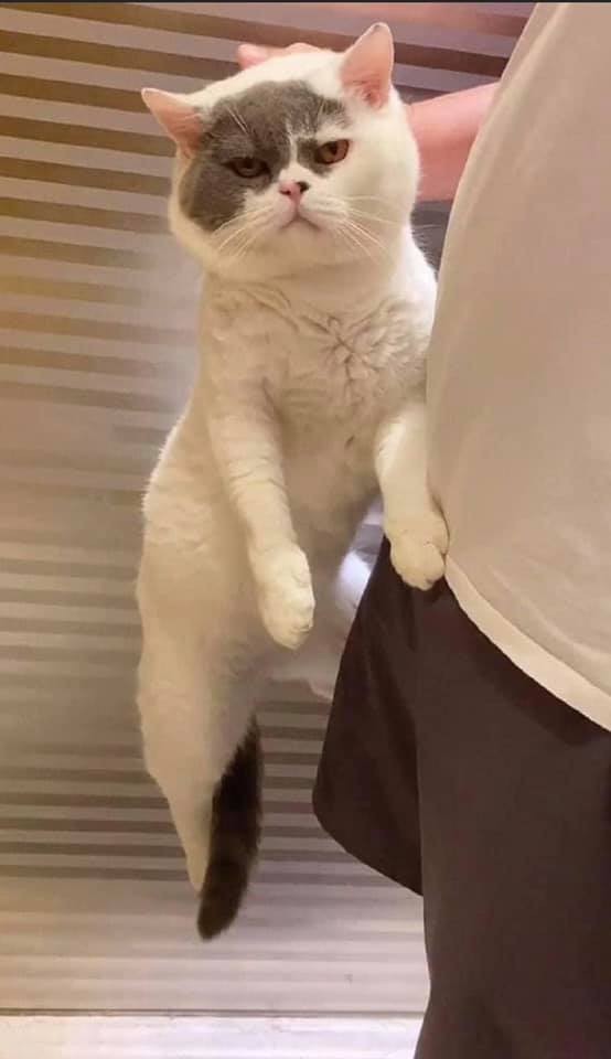 123196164_10215942965520502_7721980842294559090_n