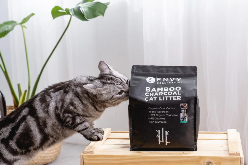 messageImage_1603449407084