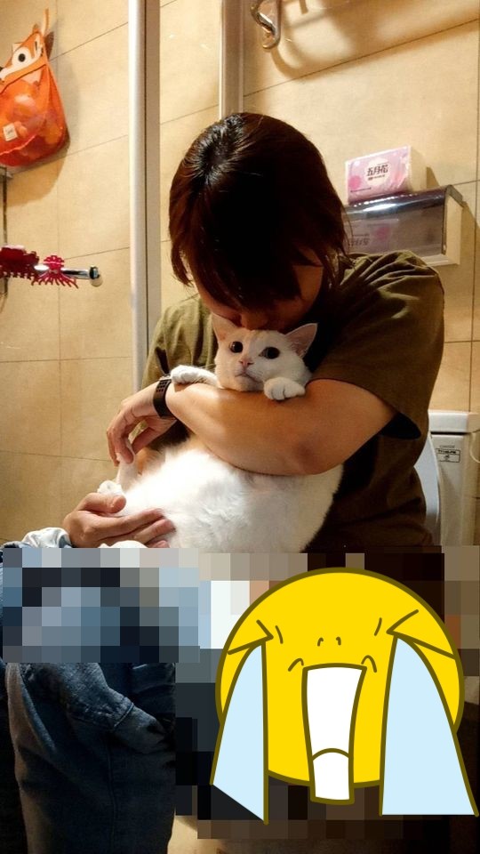 網友jovi wu授權提供