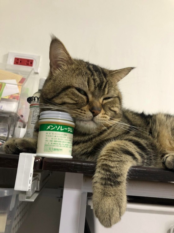 網友朱莉葉小姐提供