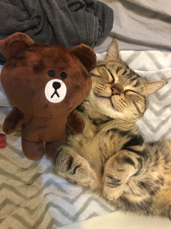 網友朱莉葉小姐提供